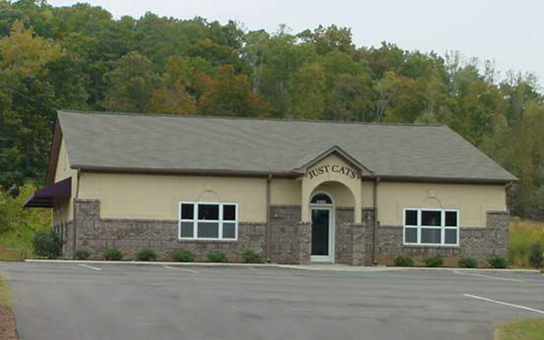 Just Cats Veterinary Clinic