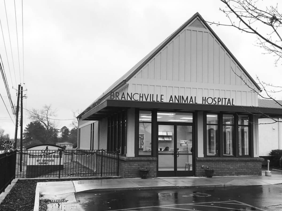 2018branchville7